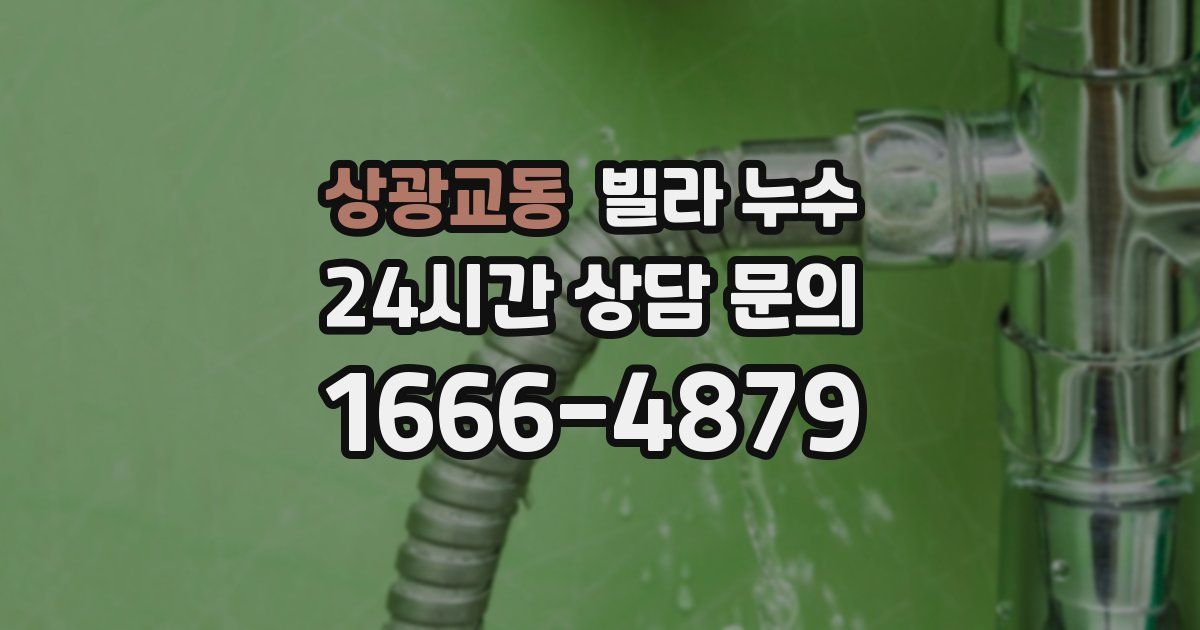 상광교동 빌라 누수