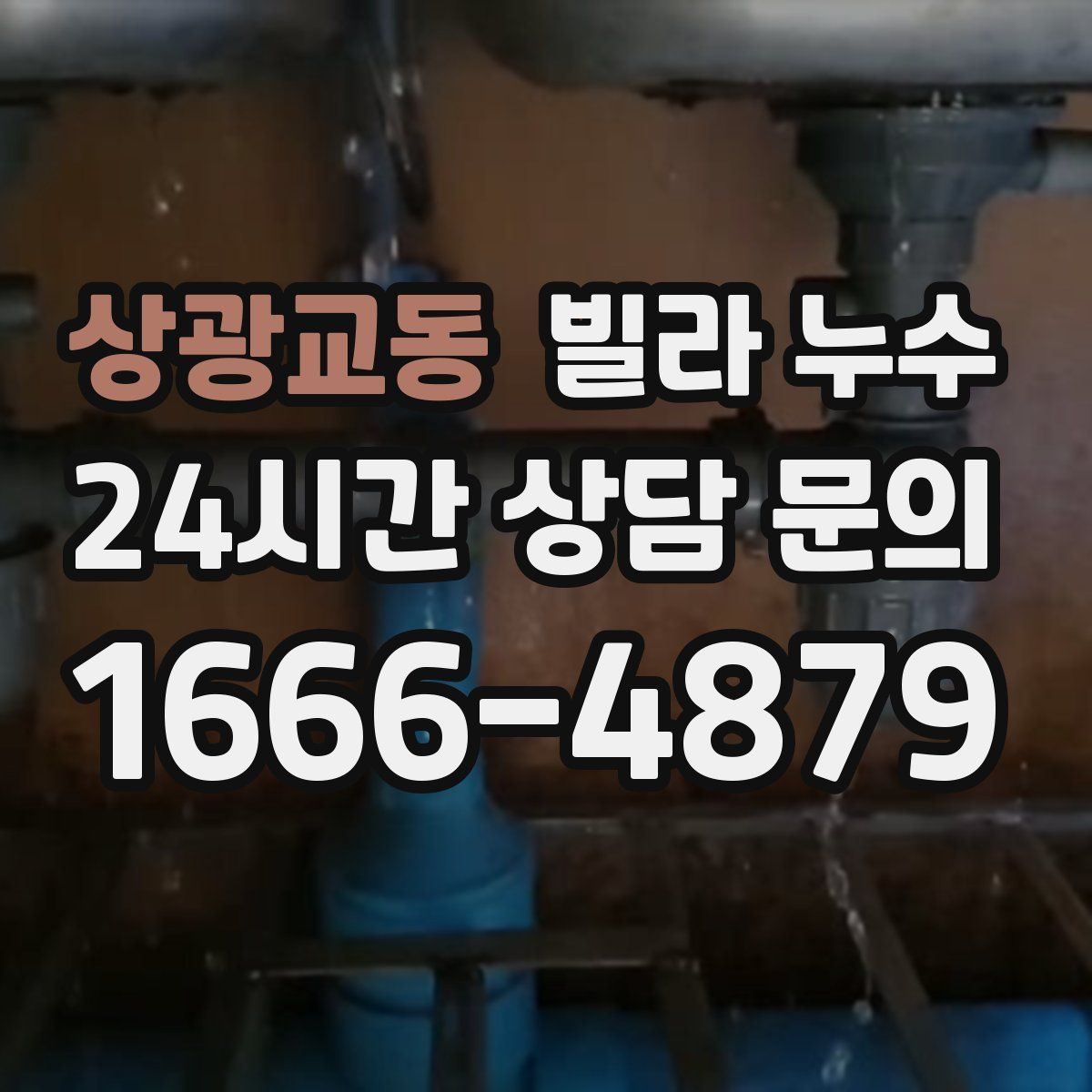 상광교동 빌라 누수