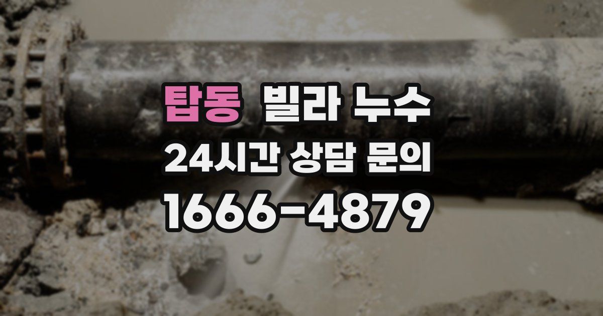 탑동 빌라 누수