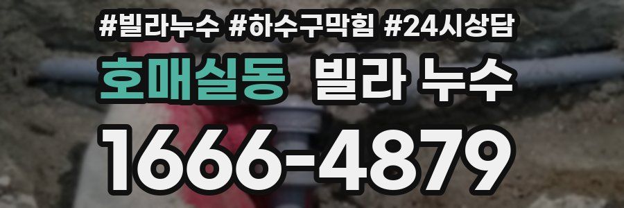 호매실동 빌라 누수
