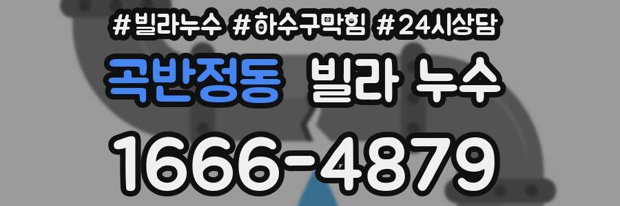 곡반정동 빌라 누수