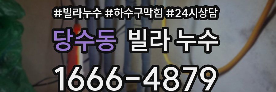 당수동 빌라 누수