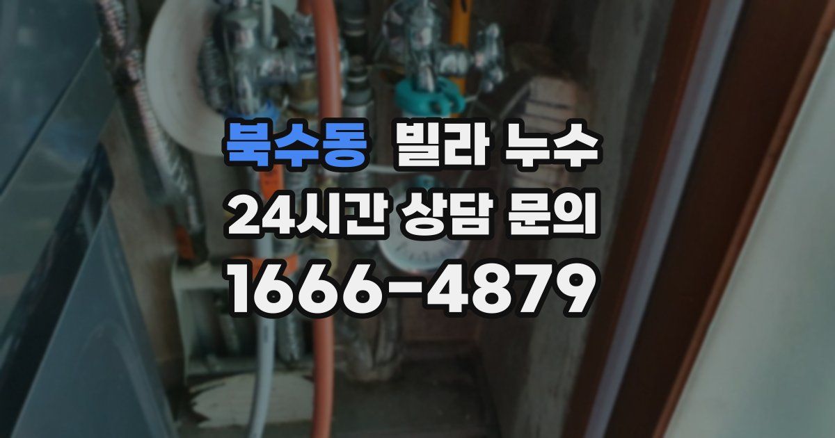 북수동 빌라 누수