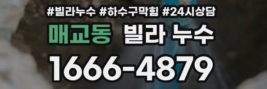 매교동 빌라 누수