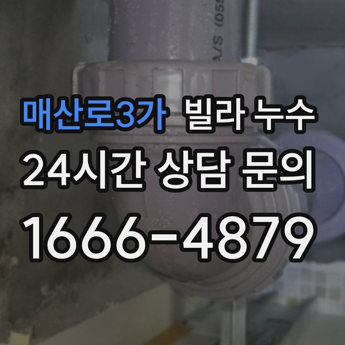 매산로3가 빌라 누수 벽 모서리 검은 점이 늘면 누수도 의심