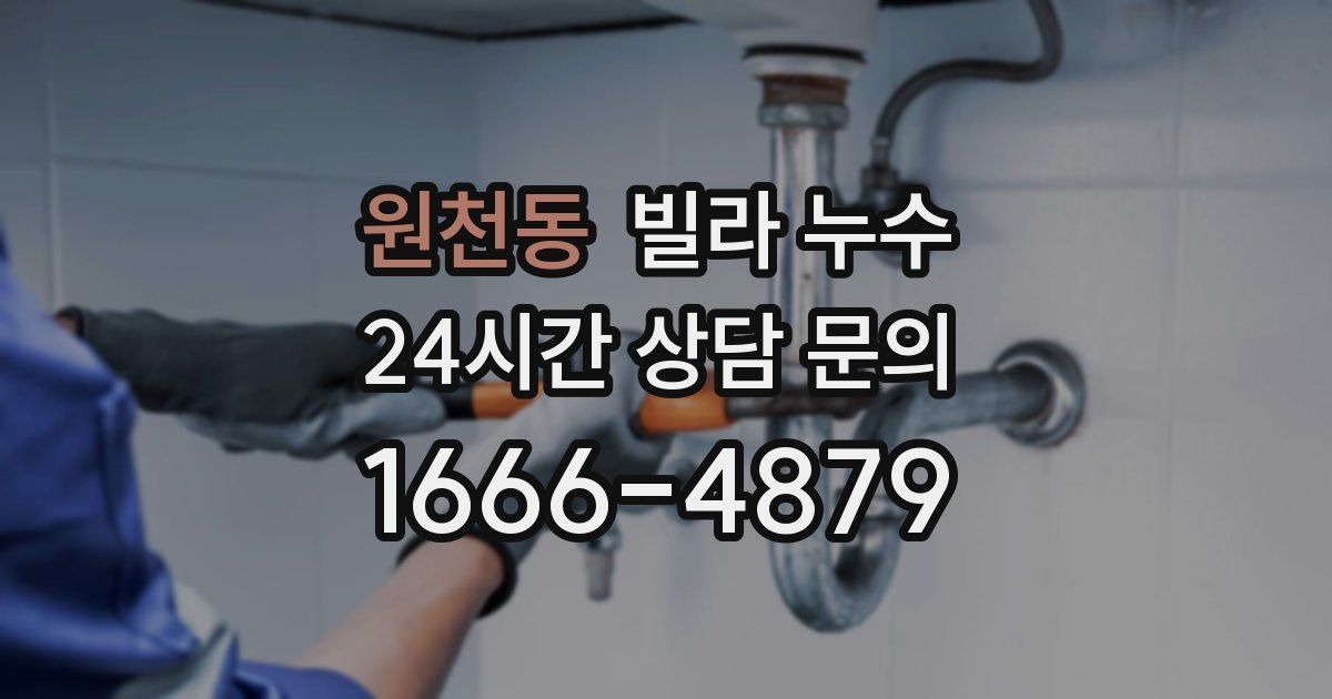 원천동 빌라 누수