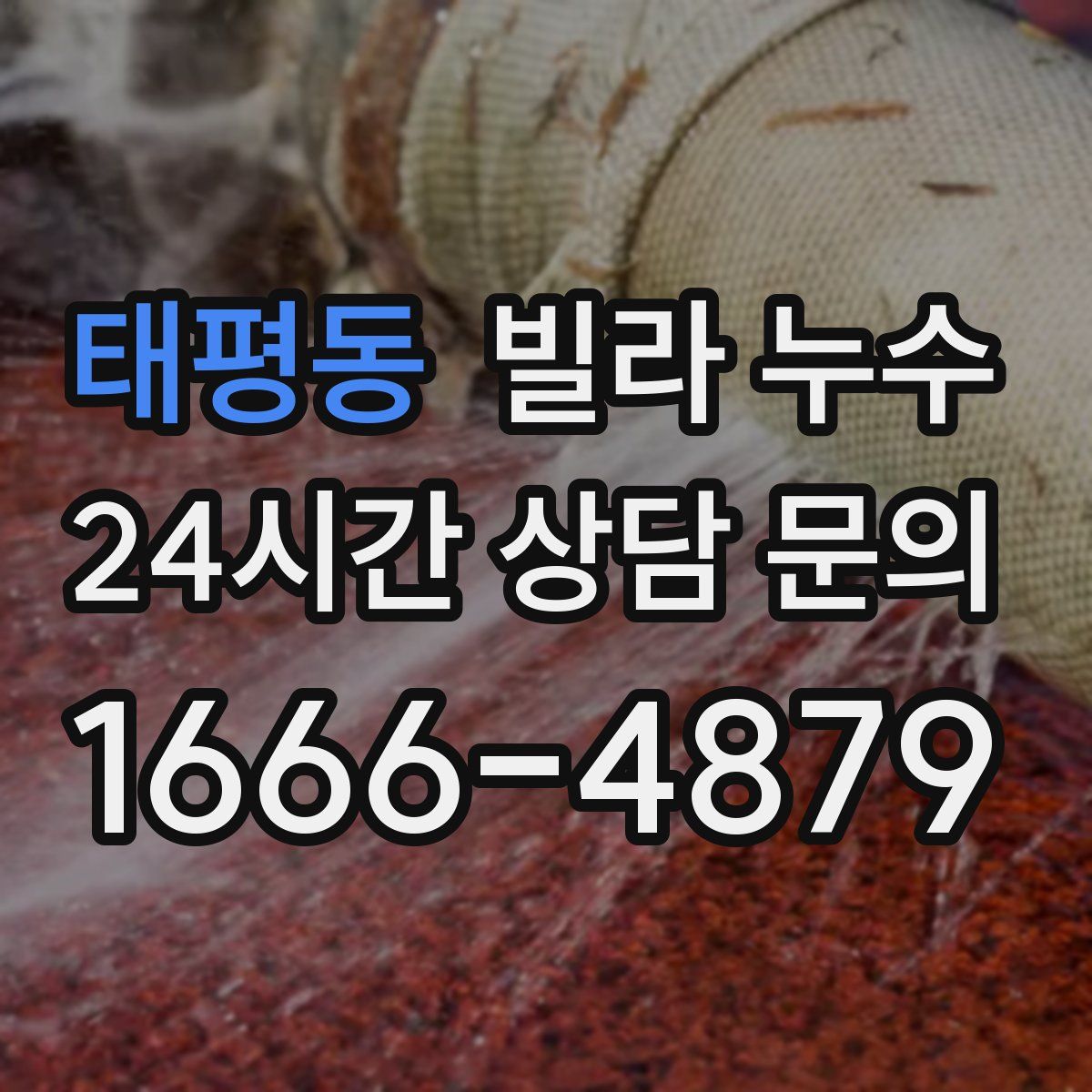 태평동 빌라 누수