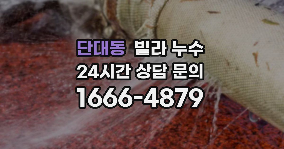 단대동 빌라 누수