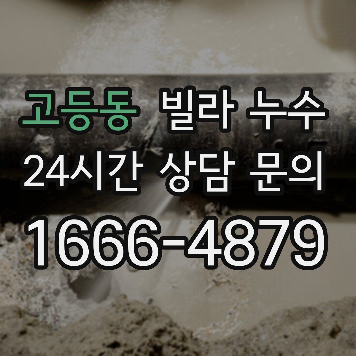 고등동 빌라 누수 곰팡이 냄새가 강해지면 내부 습기 신호