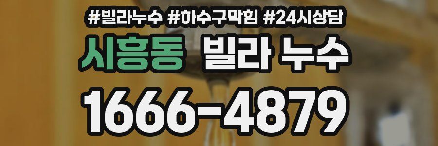 시흥동 빌라 누수