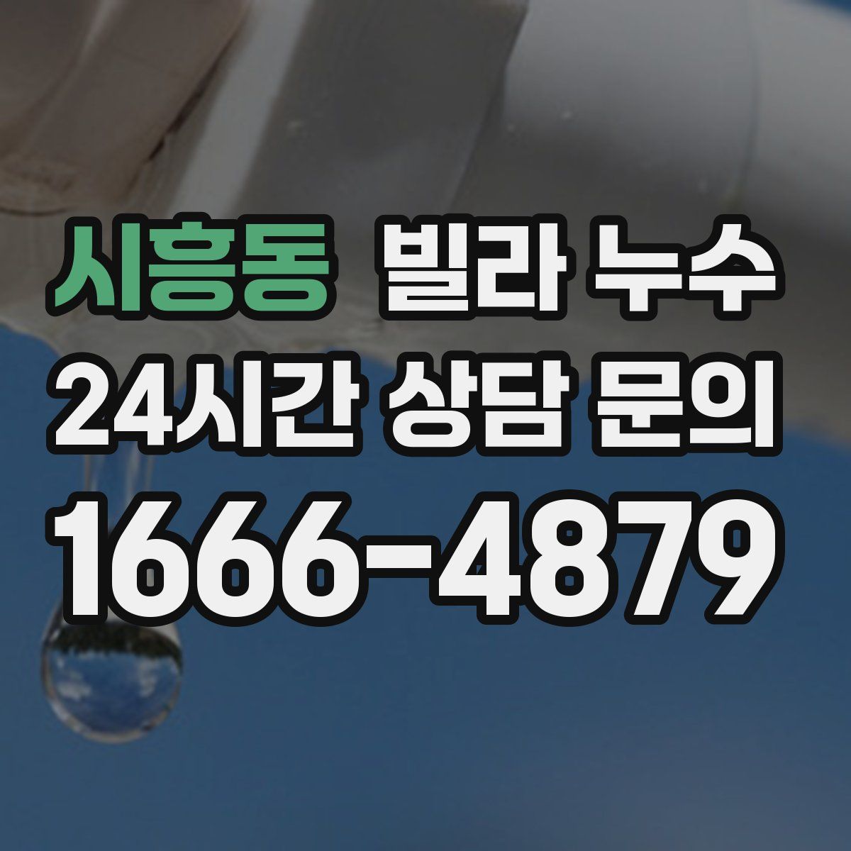 시흥동 빌라 누수