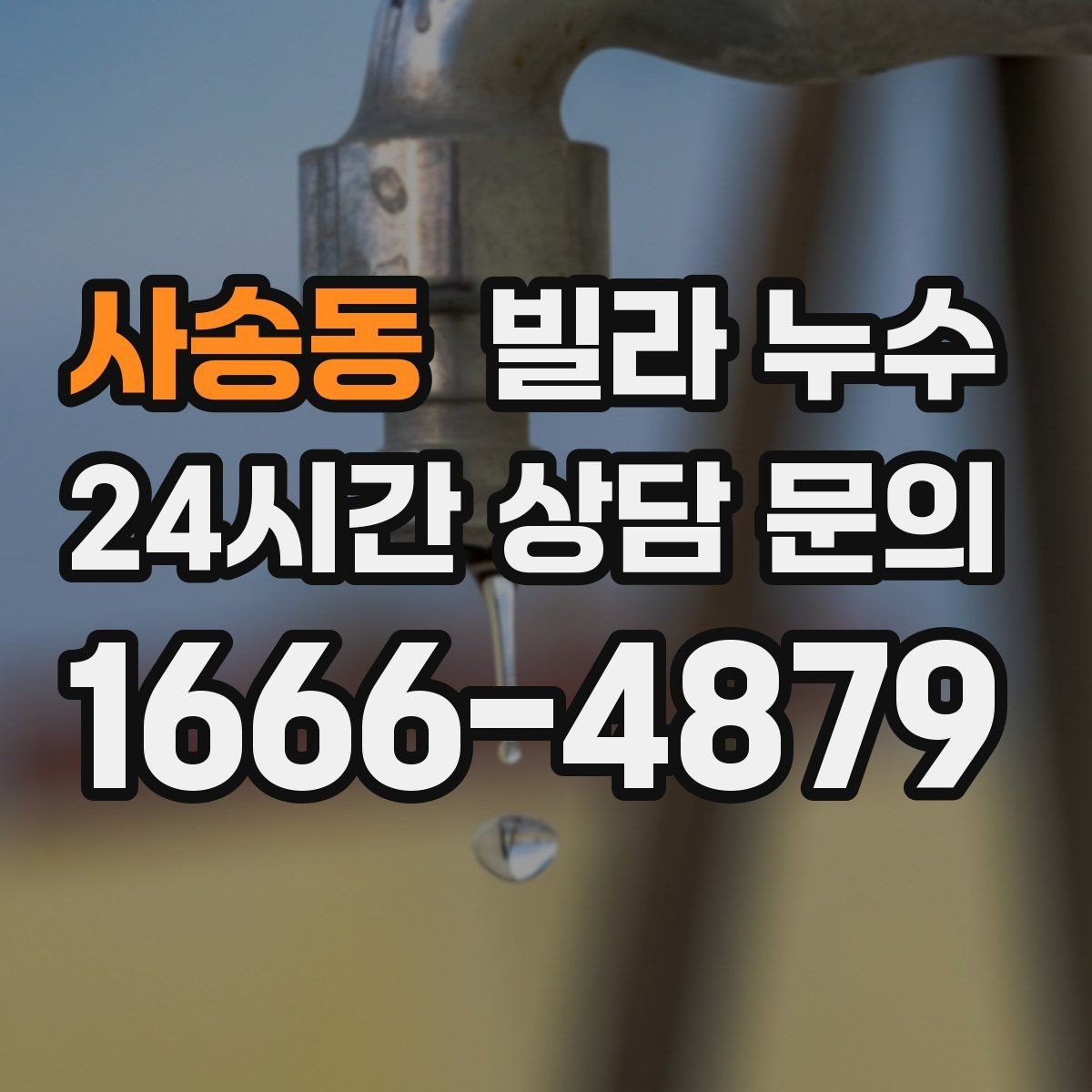 사송동 빌라 누수 곰팡이가 번지기 전에 점검해야 합니다