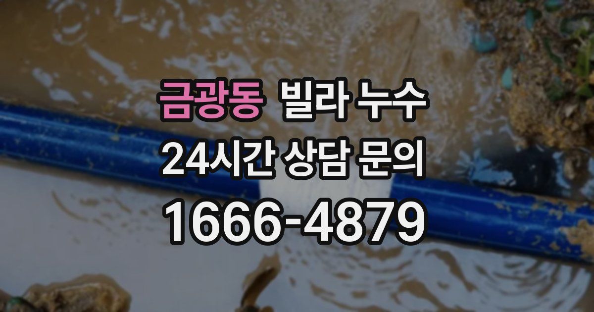 금광동 빌라 누수