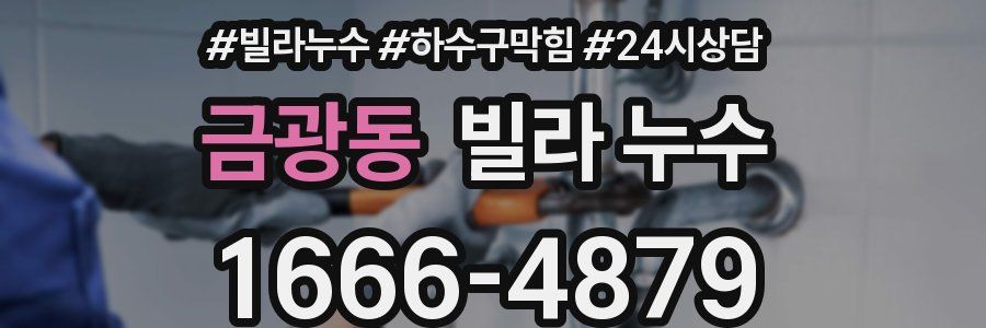 금광동 빌라 누수