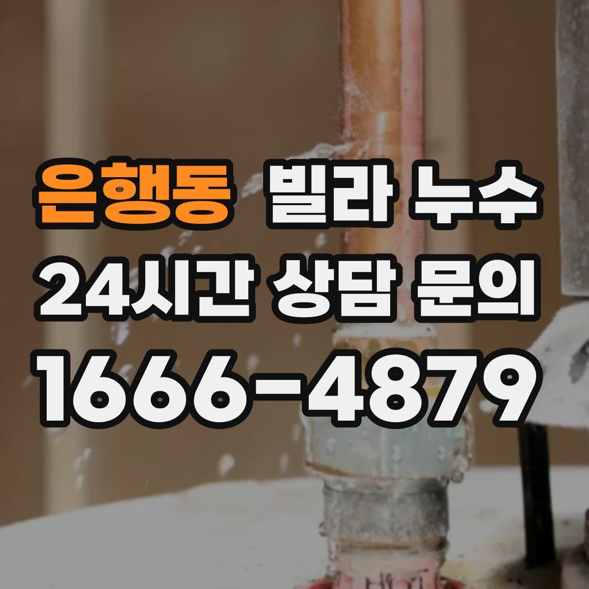 은행동 빌라 누수