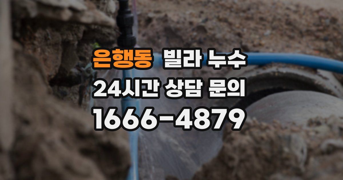 은행동 빌라 누수