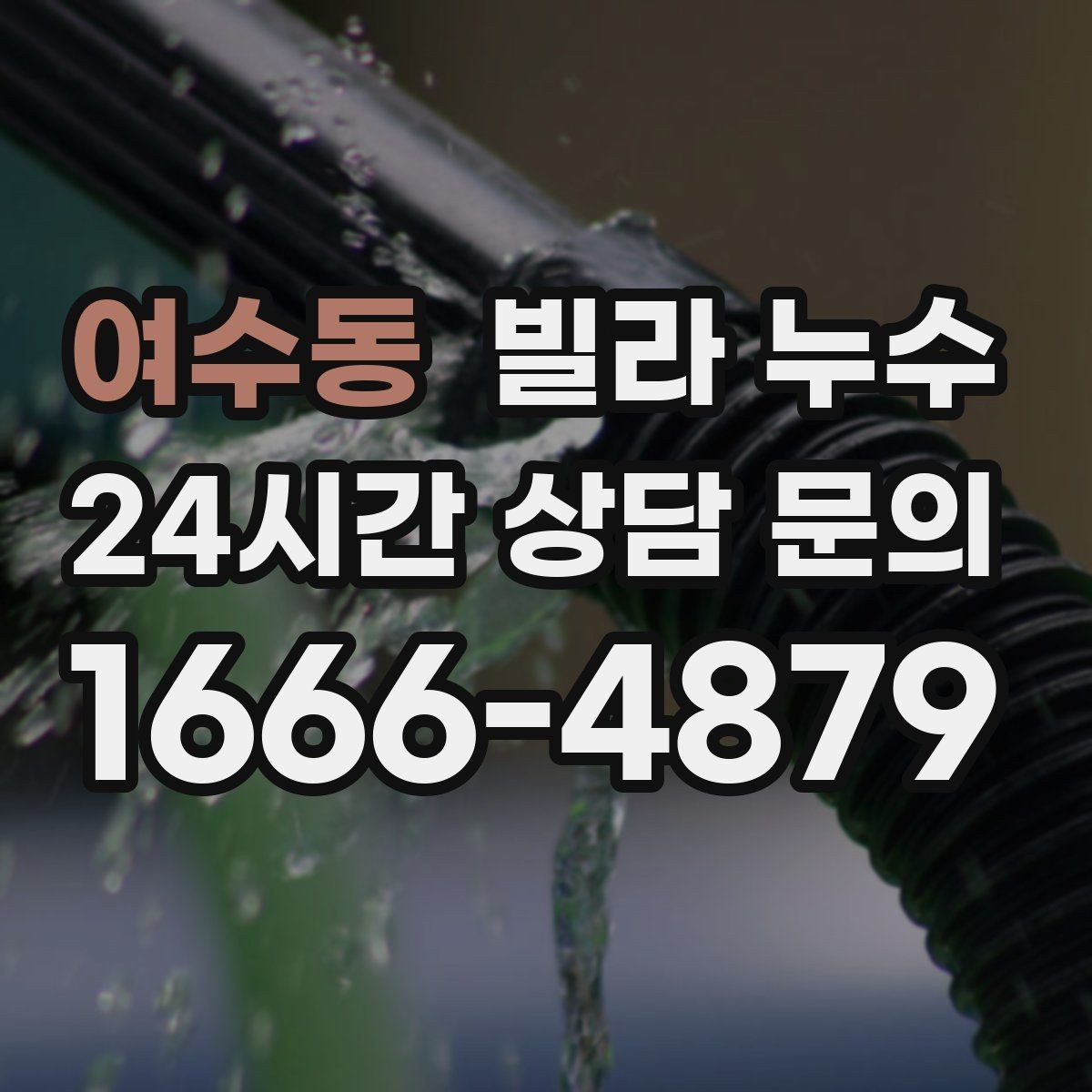 여수동 빌라 누수 곰팡이가 번지기 전 빠른 대응이 필요합니다