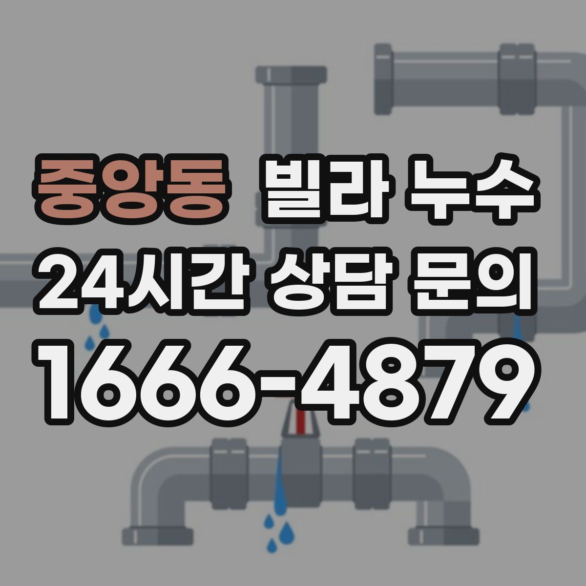 중앙동 빌라 누수