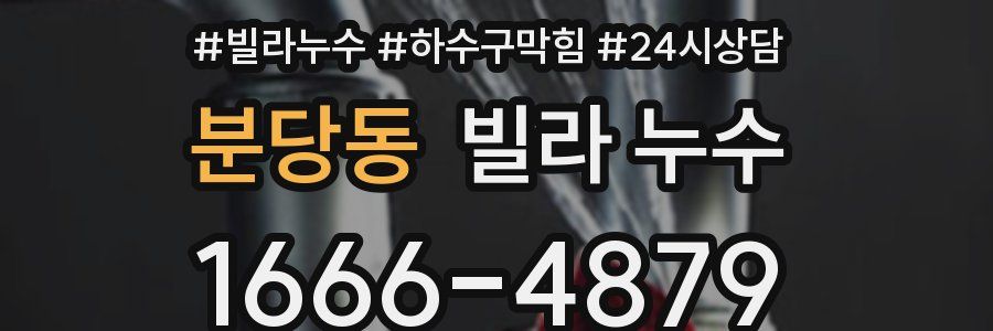 분당동 빌라 누수