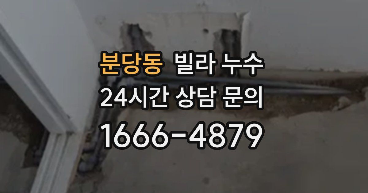 분당동 빌라 누수