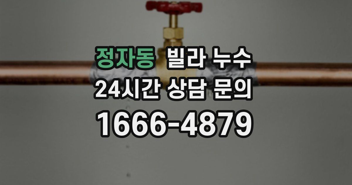 정자동 빌라 누수