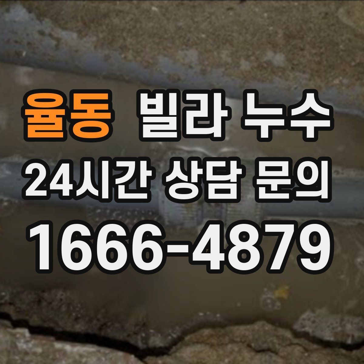 율동 빌라 누수 외벽 타일 사이로 물이 스며드는 경우