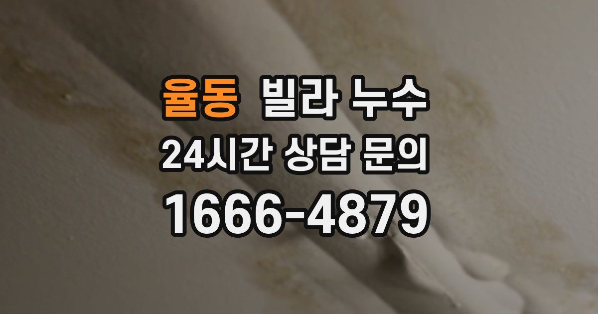 율동 빌라 누수