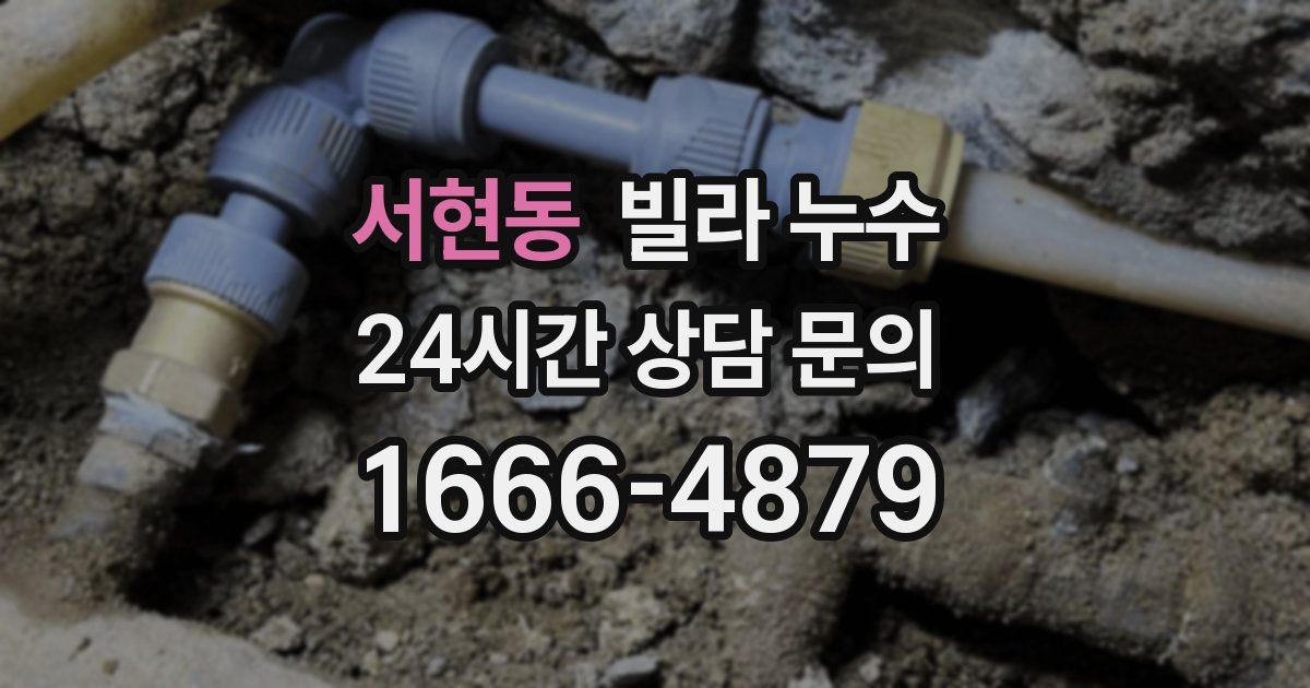 서현동 빌라 누수