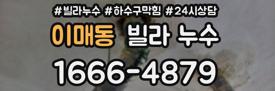 이매동 빌라 누수