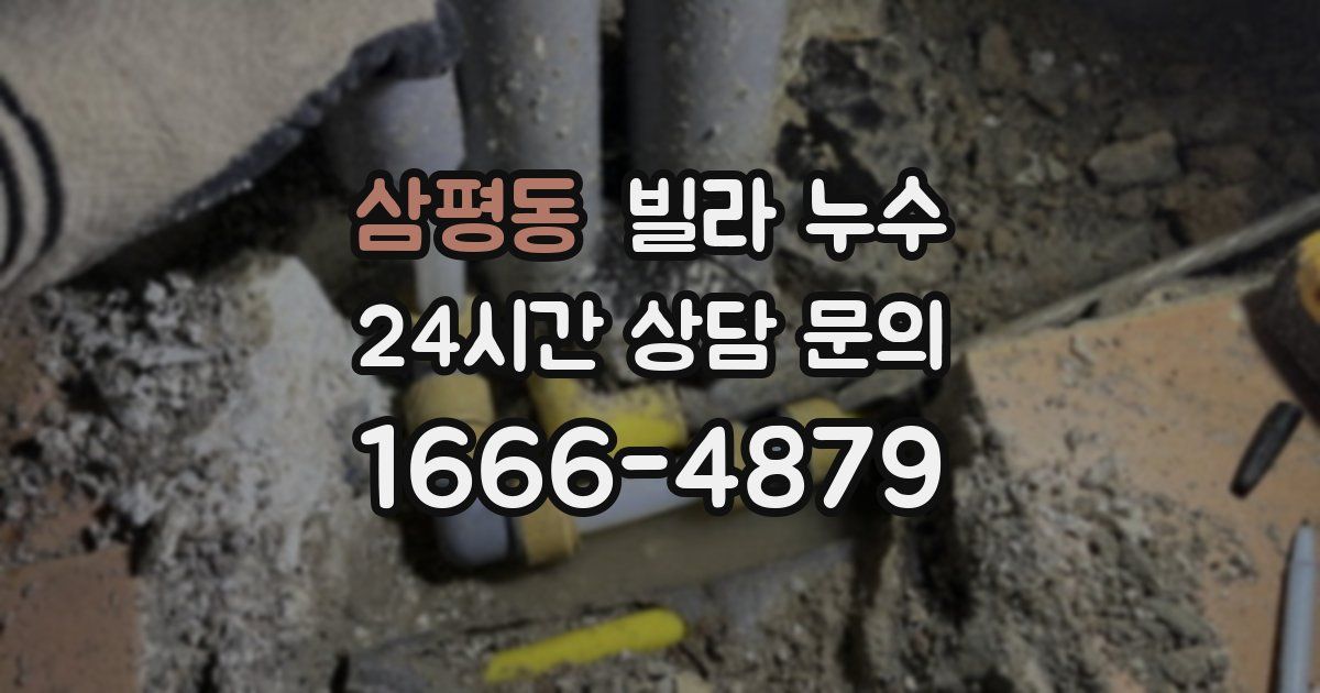 삼평동 빌라 누수