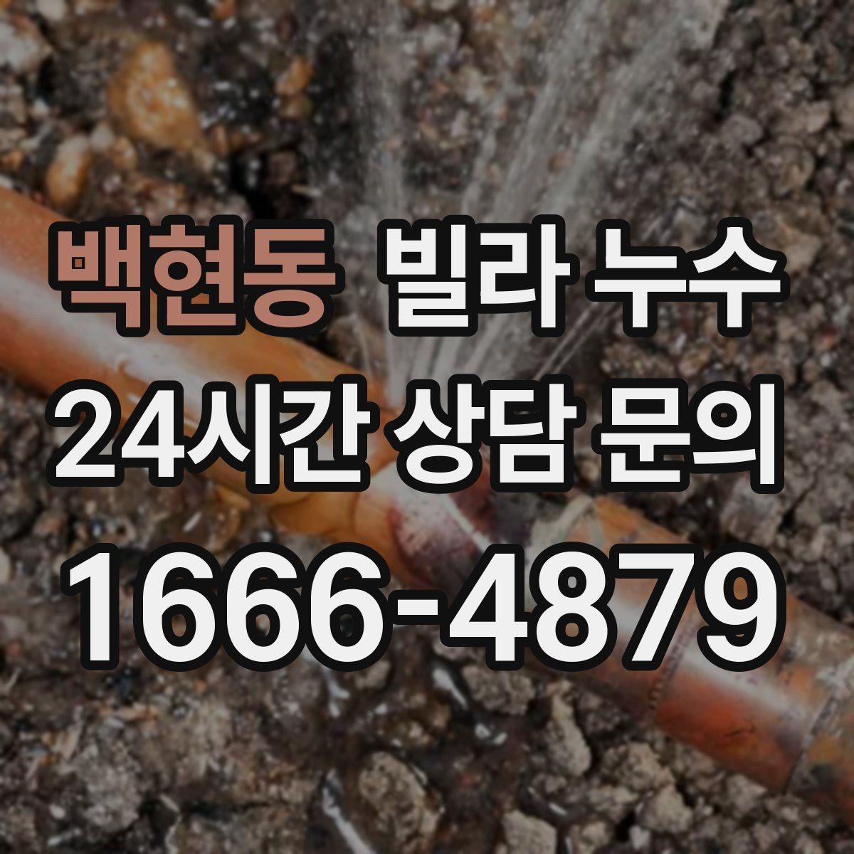 백현동 빌라 누수 변기 뒤쪽 물기와 냄새가 같이 느껴진다면