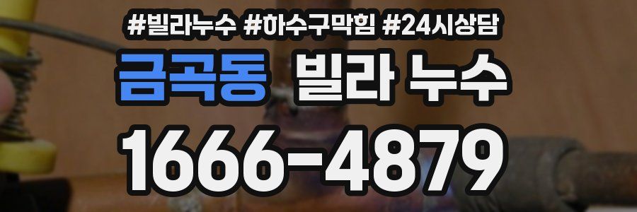 금곡동 빌라 누수