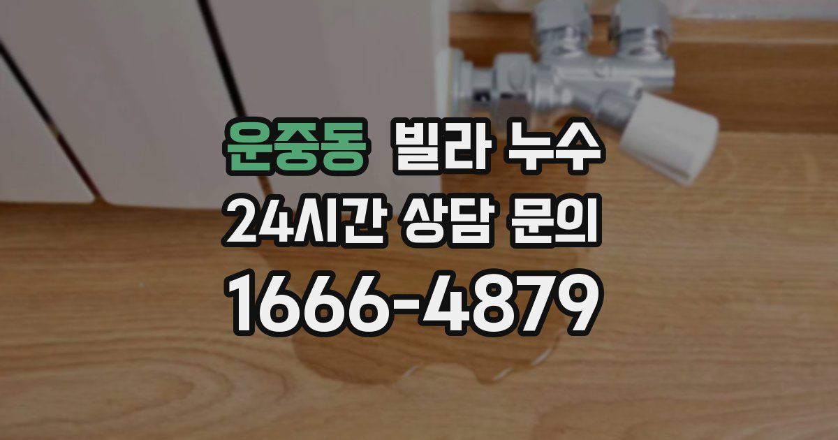 운중동 빌라 누수