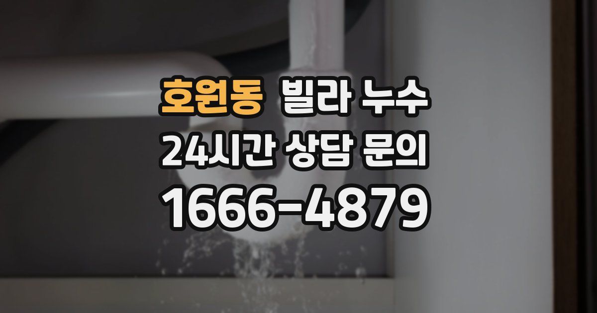호원동 빌라 누수