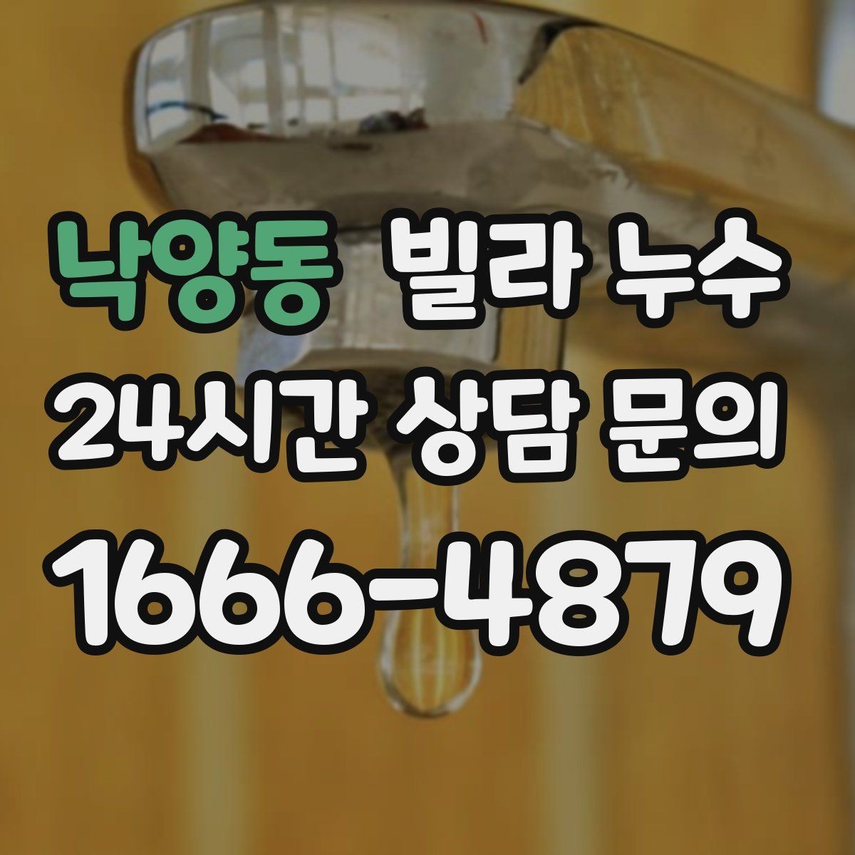 낙양동 빌라 누수 섣불리 도배부터 하면 재발할 수 있어요