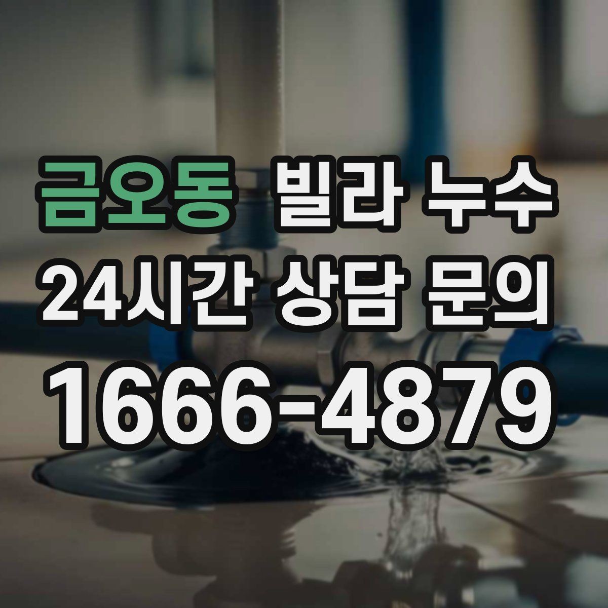 금오동 빌라 누수 샤워 후 바닥 물빠짐이 느리면 위험 신호