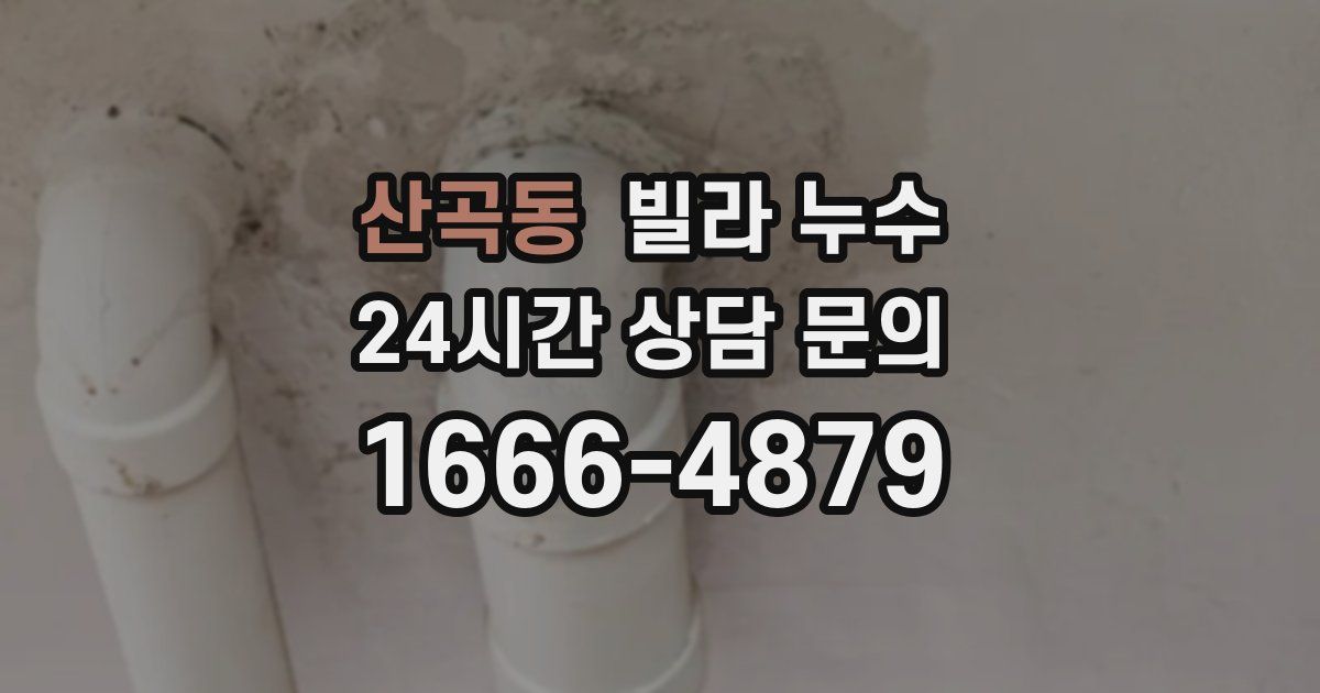 산곡동 빌라 누수