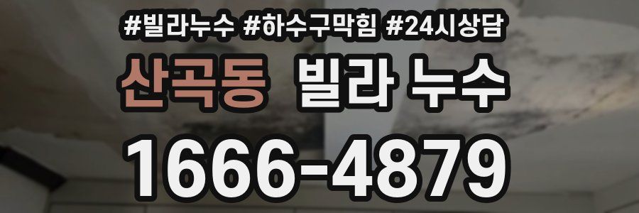 산곡동 빌라 누수