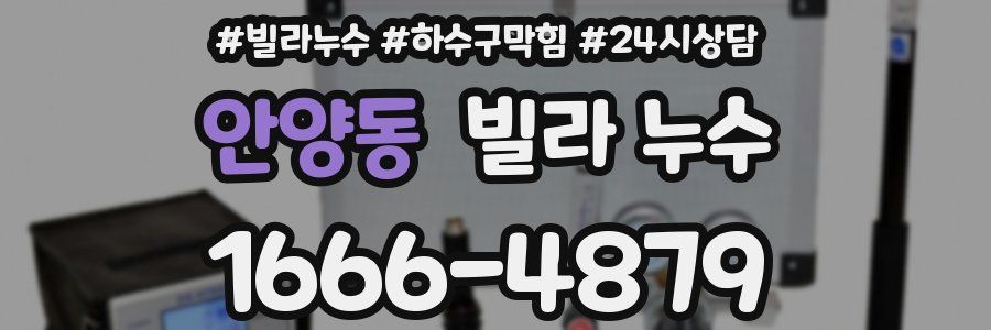 안양동 빌라 누수