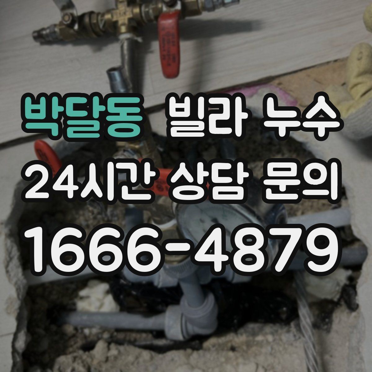 박달동 빌라 누수 누수 해결 후 곰팡이가 남지 않게 하는 방법