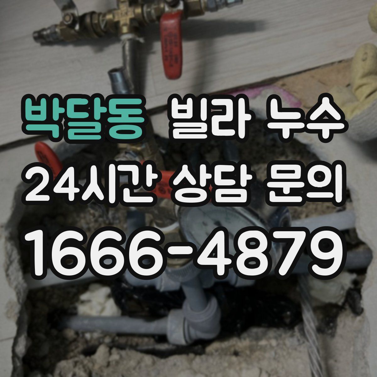 박달동 빌라 누수