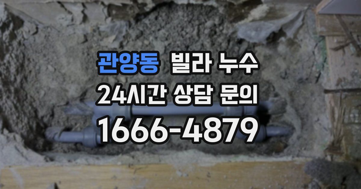 관양동 빌라 누수