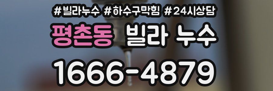 평촌동 빌라 누수