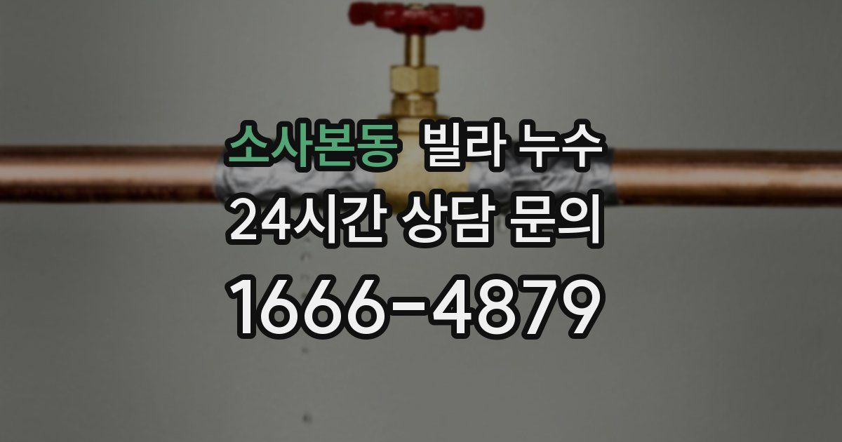 소사본동 빌라 누수