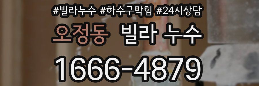 오정동 빌라 누수