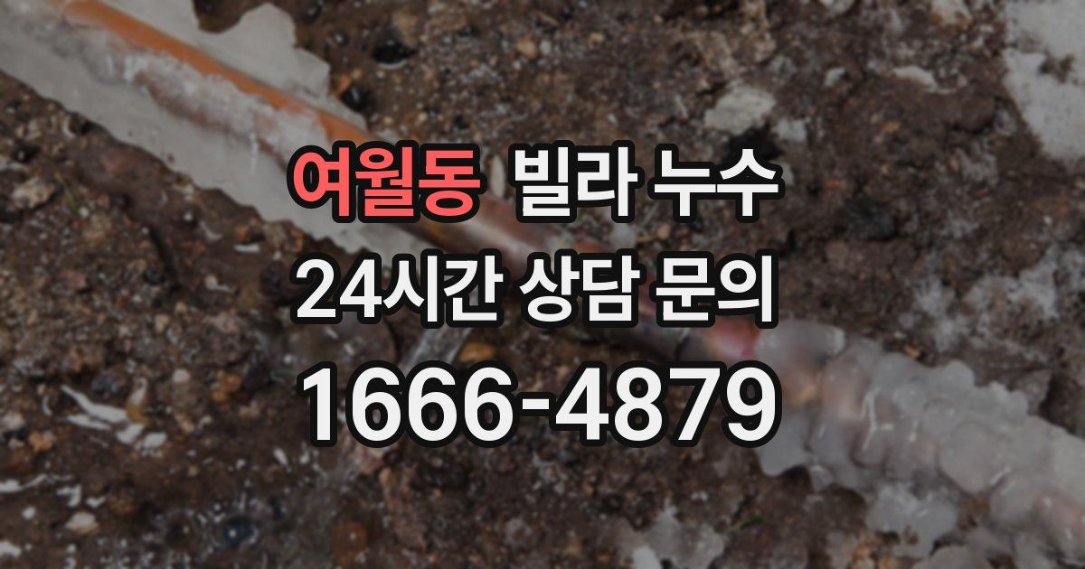 여월동 빌라 누수