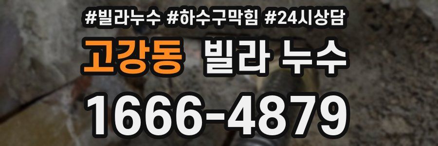 고강동 빌라 누수