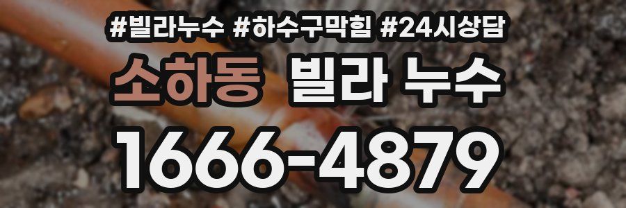 소하동 빌라 누수