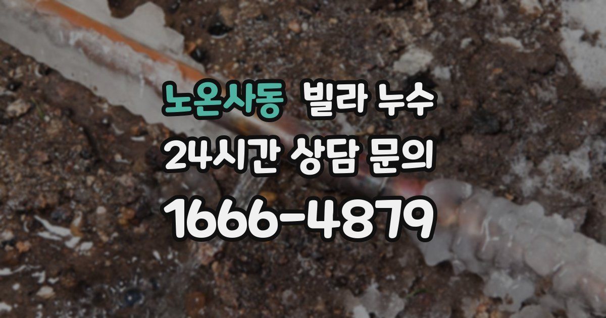 노온사동 빌라 누수