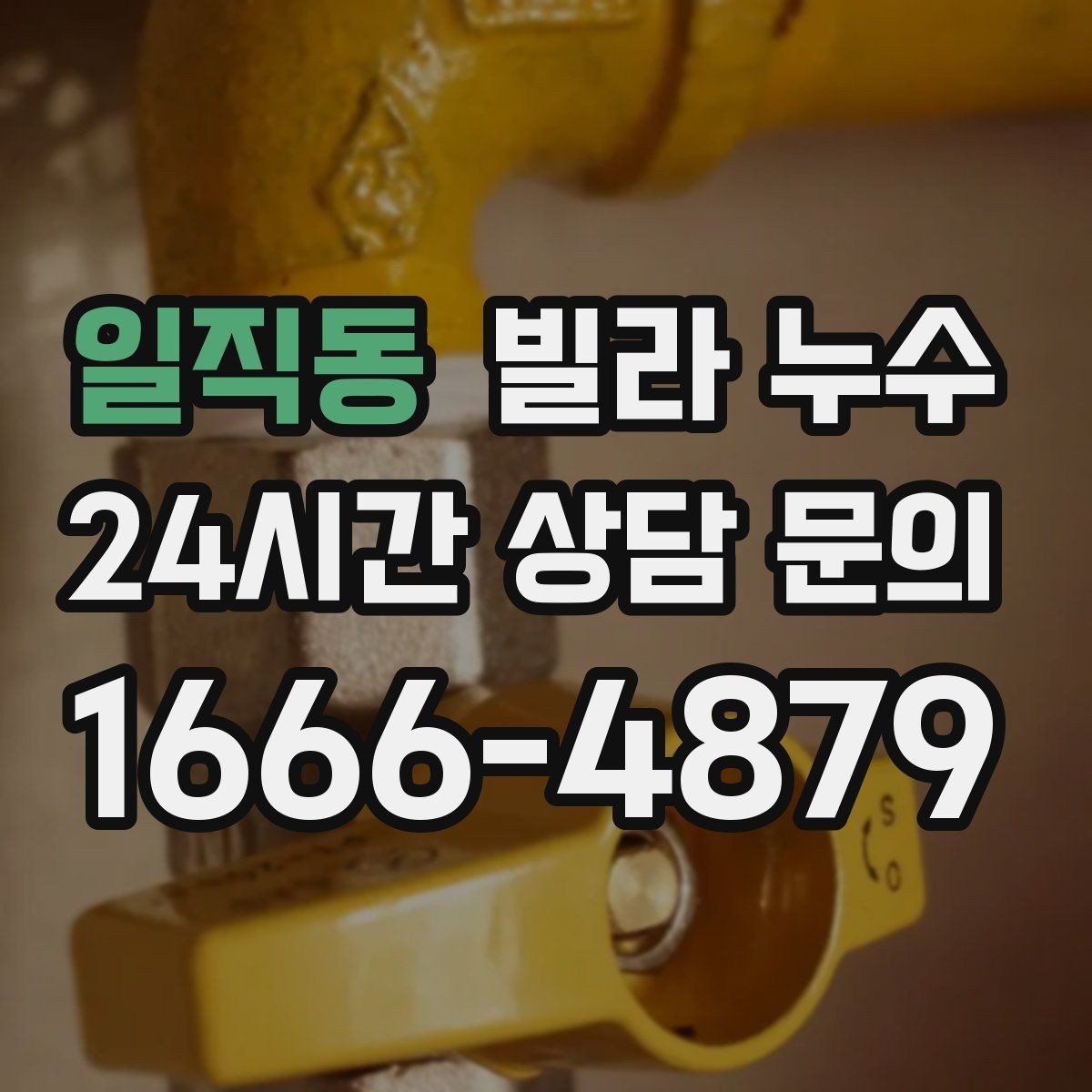 일직동 빌라 누수 작은방 벽지 얼룩이 생기면 점검 포인트
